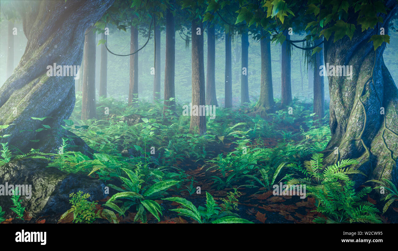Tropical green forest in a misty morning with warm rays light Stock ...