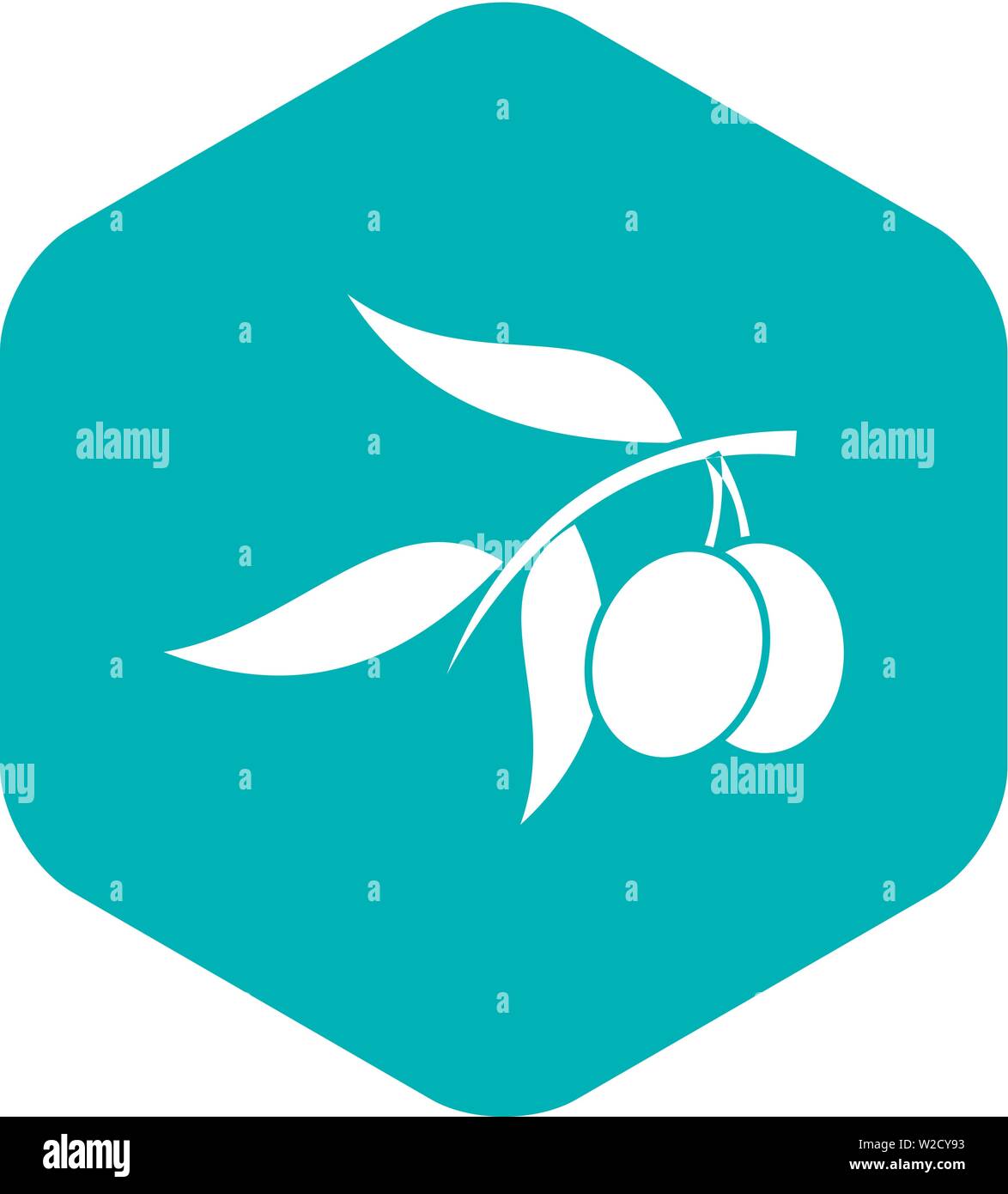 Olive tree branch with two olives icon Stock Vector