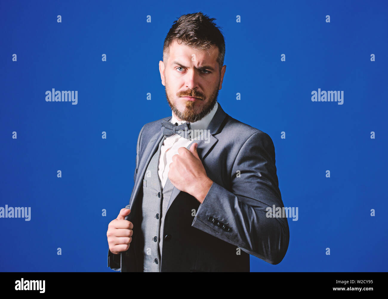 Businessman Formal Outfit Classic Style Aesthetic Perfect Suit Fit Him Menswear Shop Man Adjust Suit With Bow Tie Well Groomed Man With Beard In Formal Suit Jacket Male Fashion And Aesthetic Stock