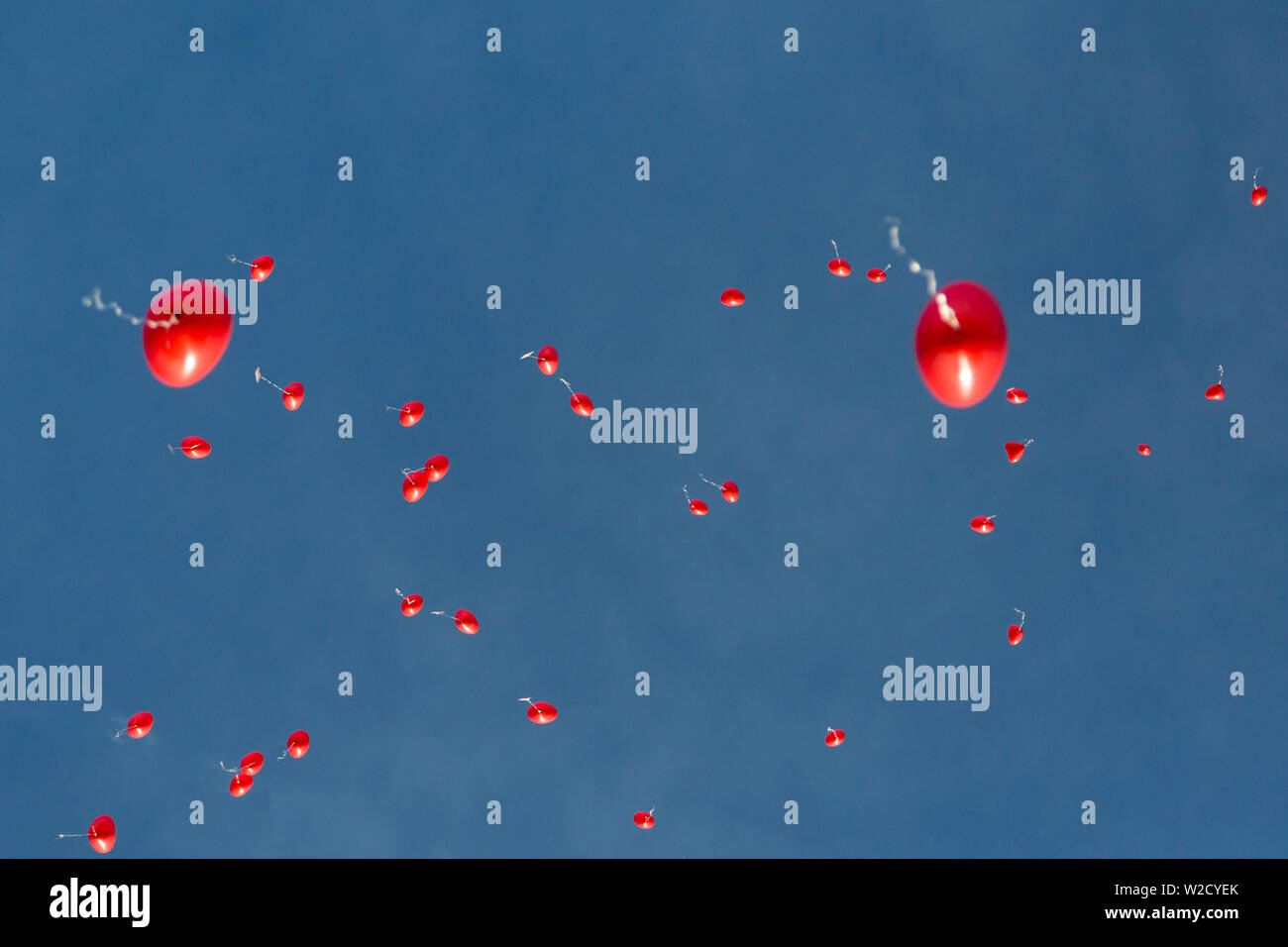 many heart-shaped red balloons flying in deep blue sky, sunlight Stock ...