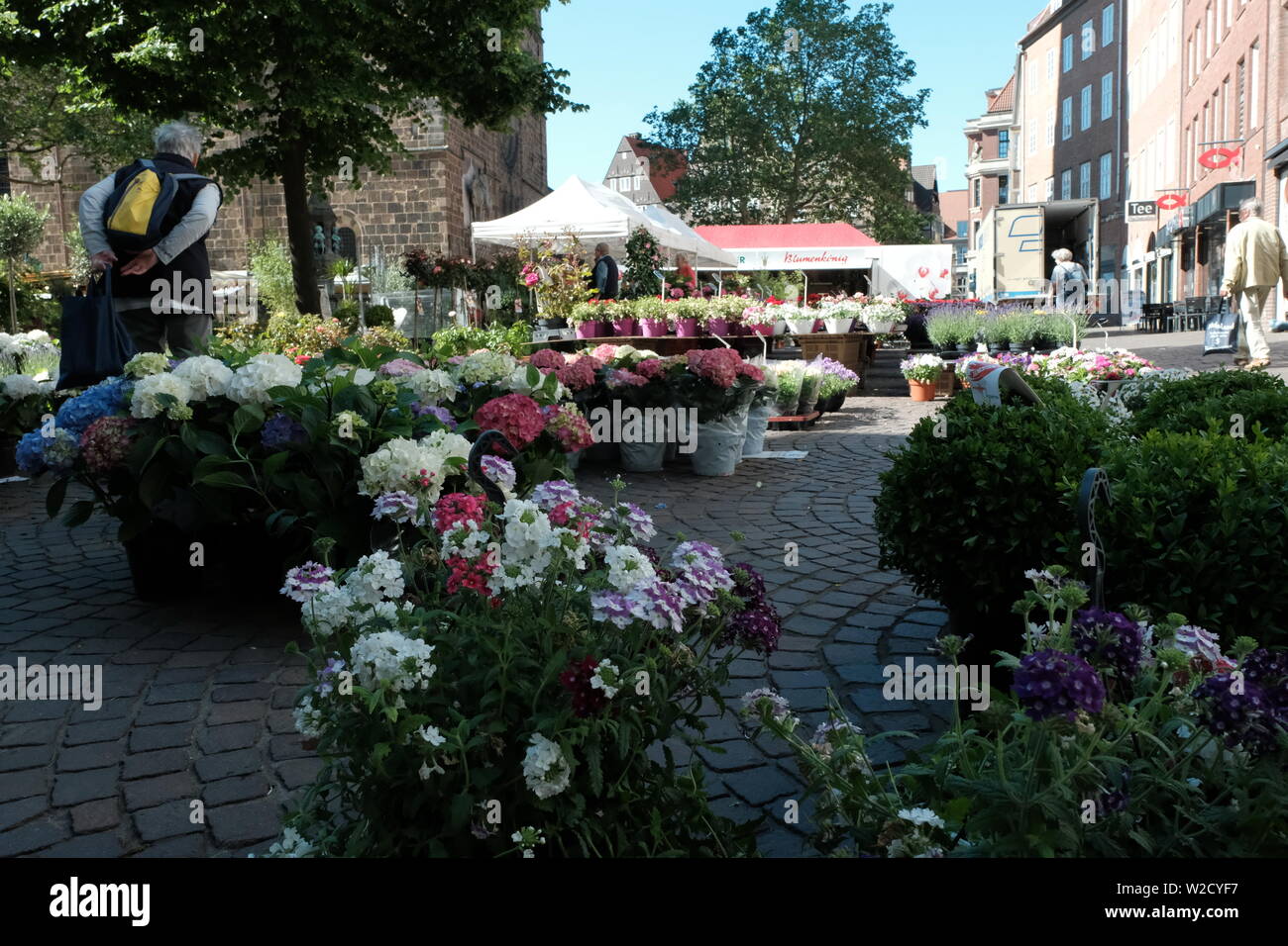Flower Market in Bremen Germany Stock Photo Alamy