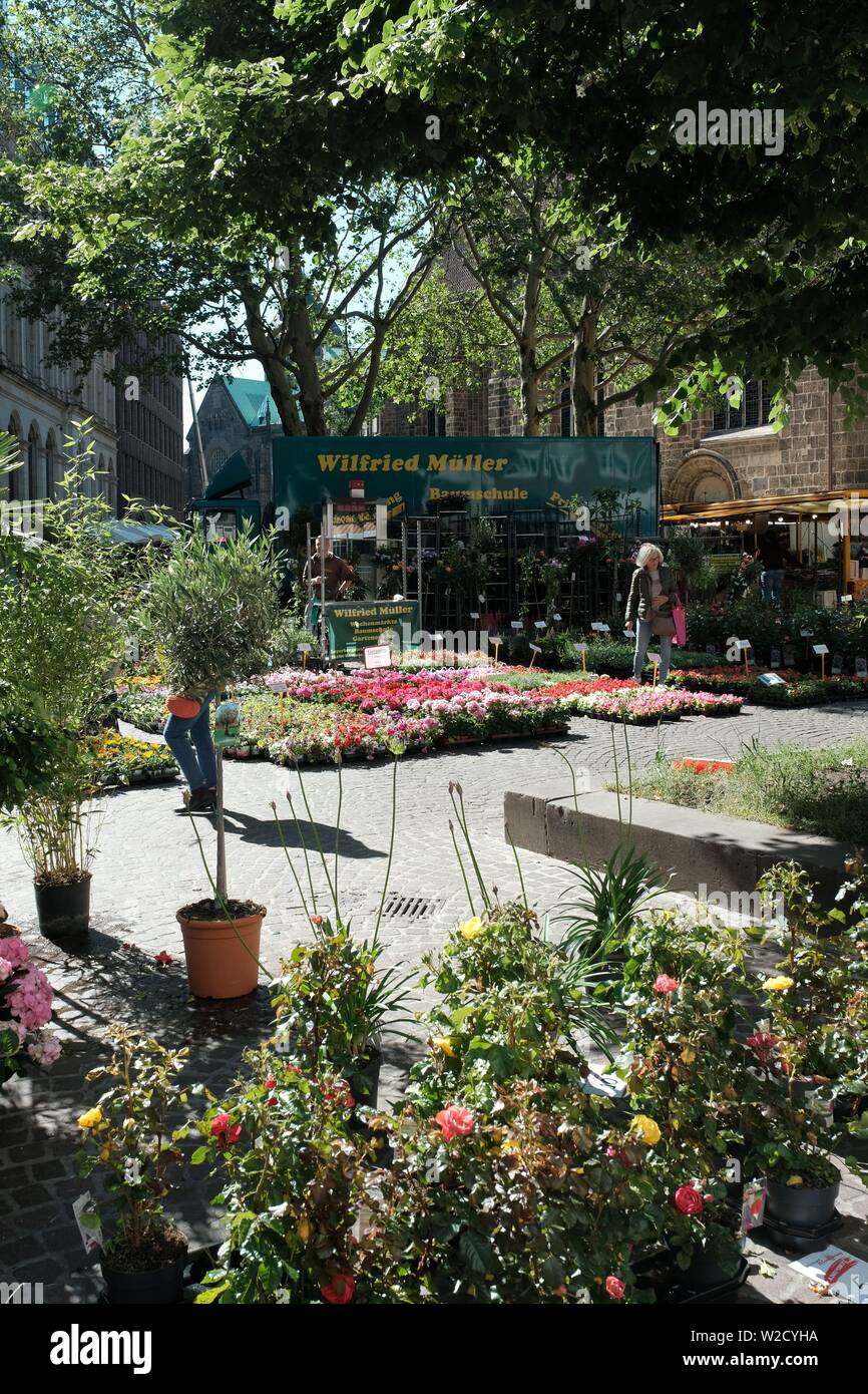 Flower Market in Bremen Germany Stock Photo Alamy
