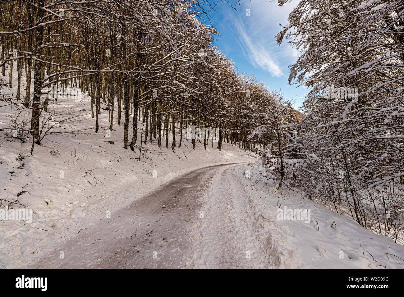 Italy Veneto Cansiglio - Monte Pizzoc Stock Photo