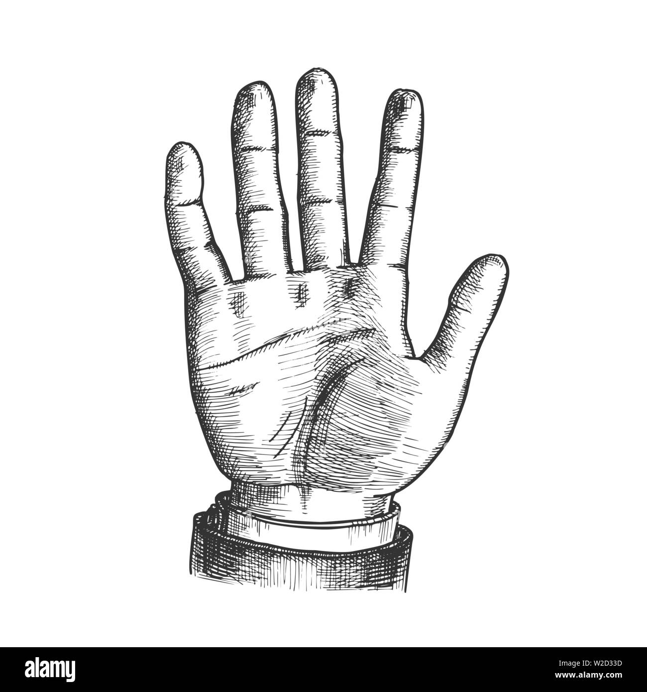 Male Hand Make Gesture Five Fingers Up Vector Stock Vector