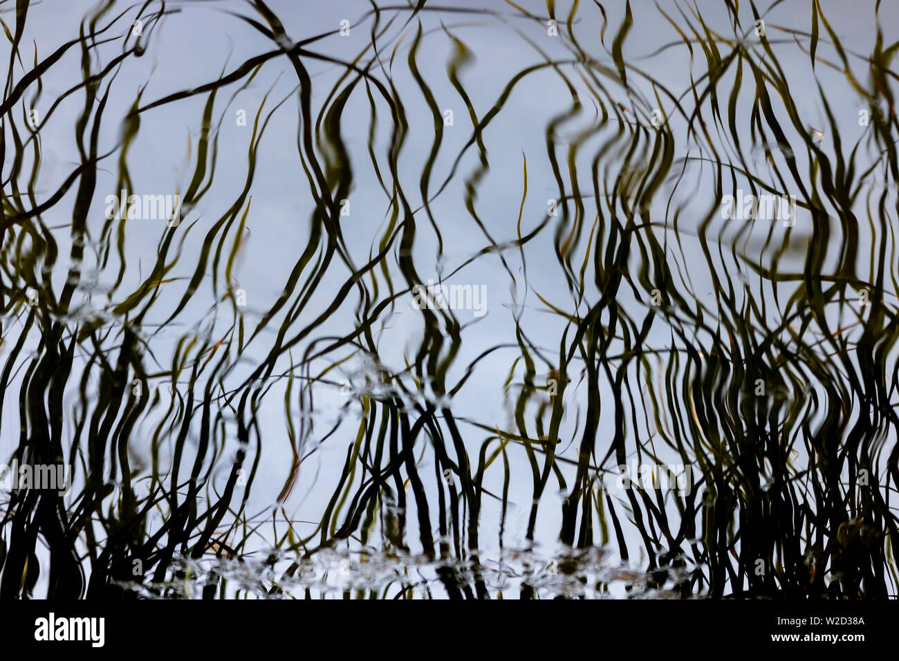 Reflection on water Stock Photo