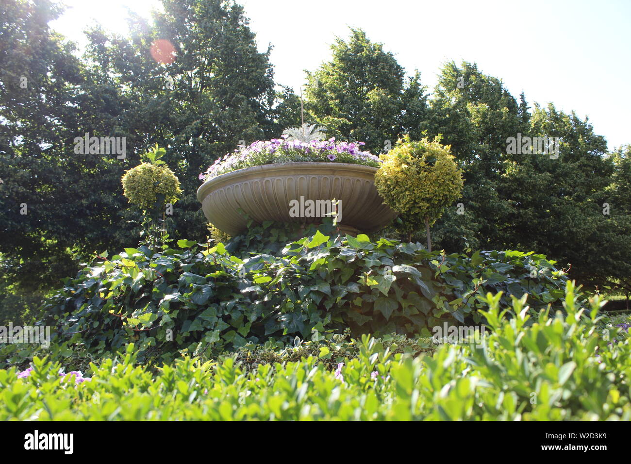 Ivy arrangement hires stock photography and images Alamy