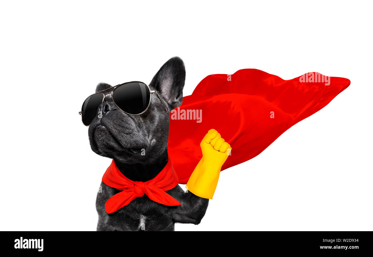 super hero french bulldog dog with  red cape and  sunglasses for justice and strenght isolated on white background Stock Photo