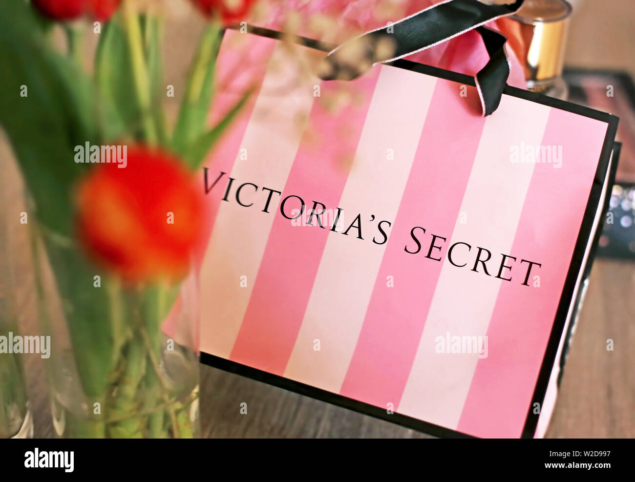 Victoria's Secret, Bags, Victorias Secret Paper Shopping Bag 19 Pink