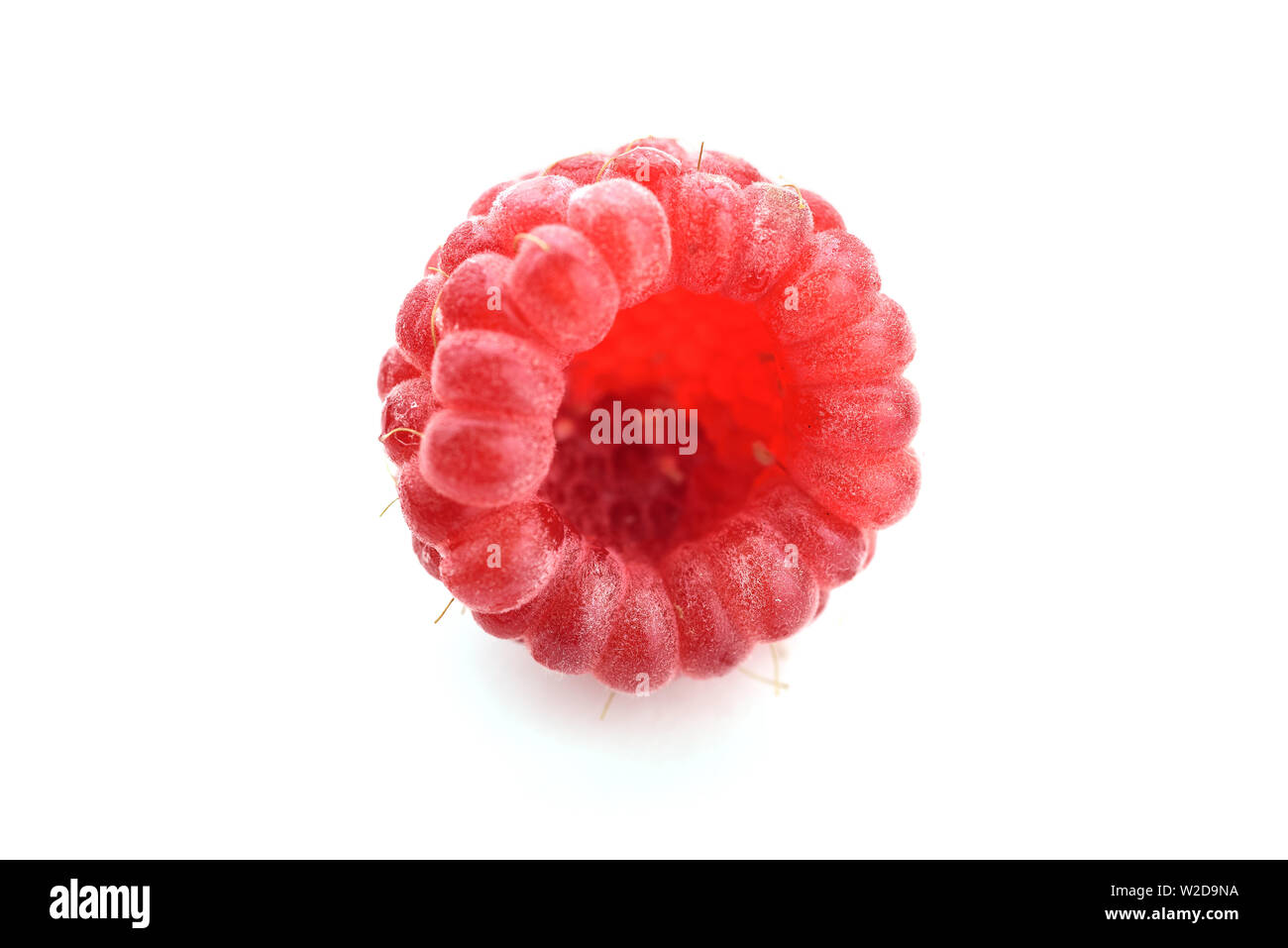 One raspberry berry on white background Stock Photo