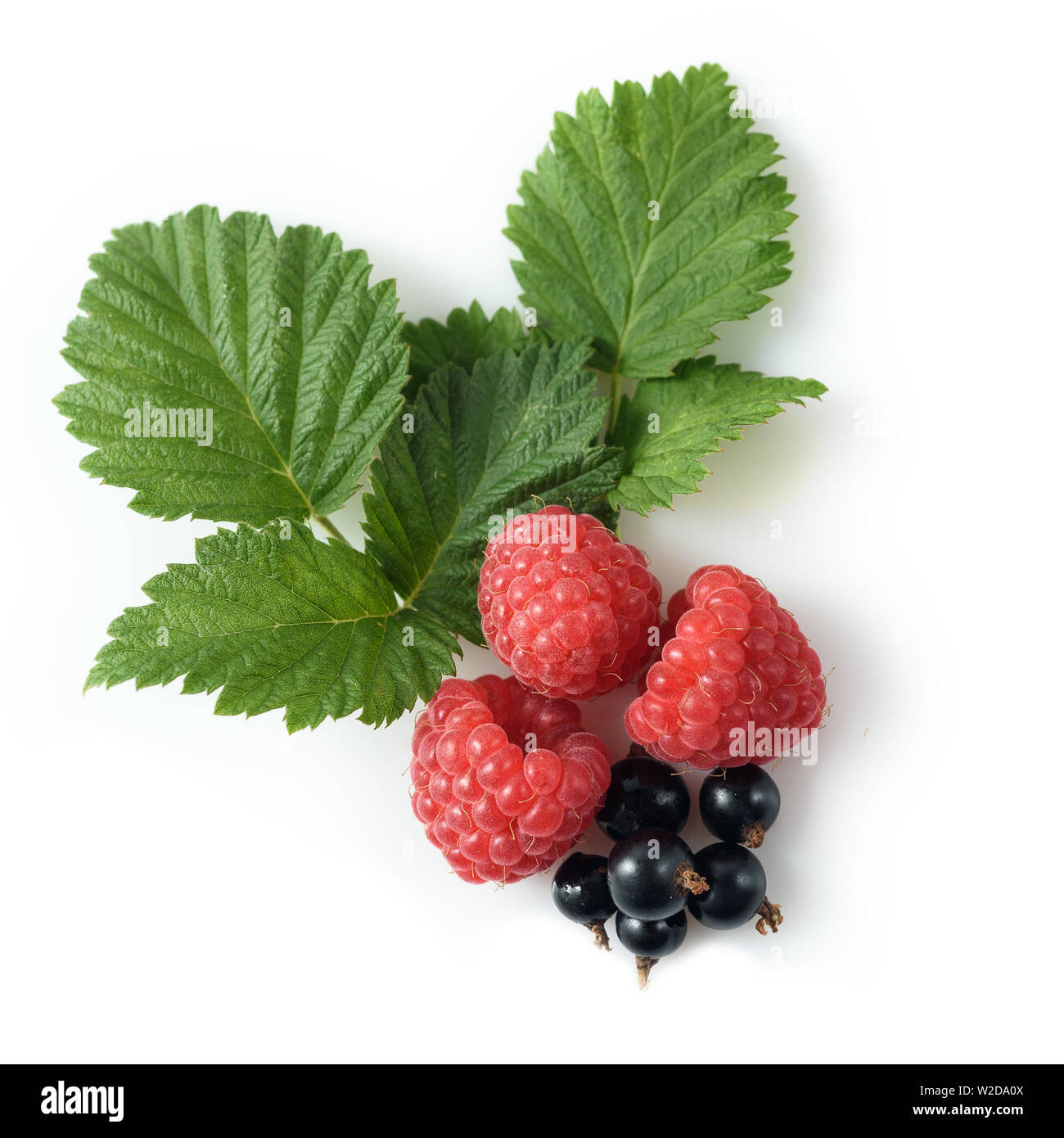 various fresh berries isolated on white background Stock Photo