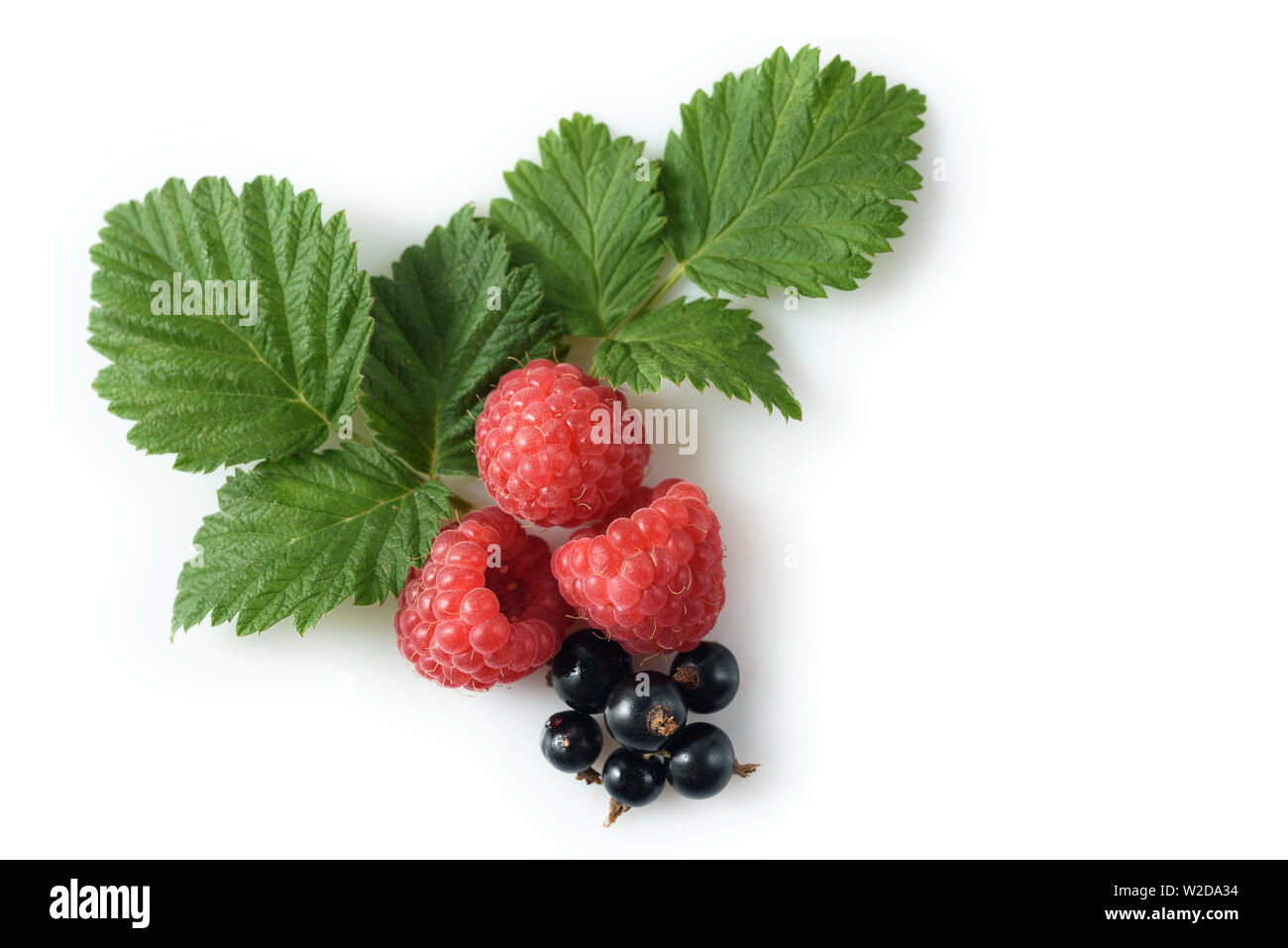 various fresh berries isolated on white background Stock Photo