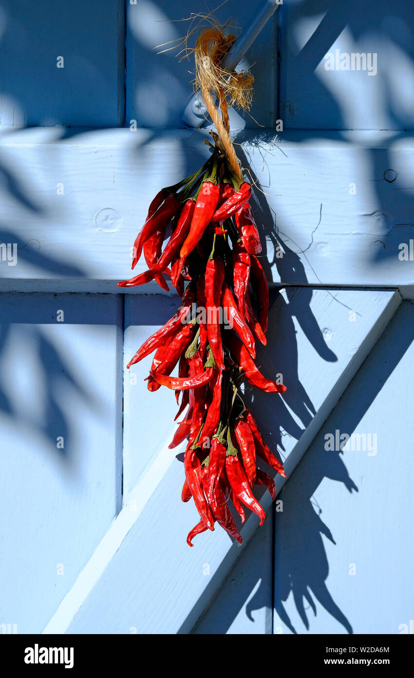 dried red chilli peppers hanging on blue painted door, lot valley, france Stock Photo