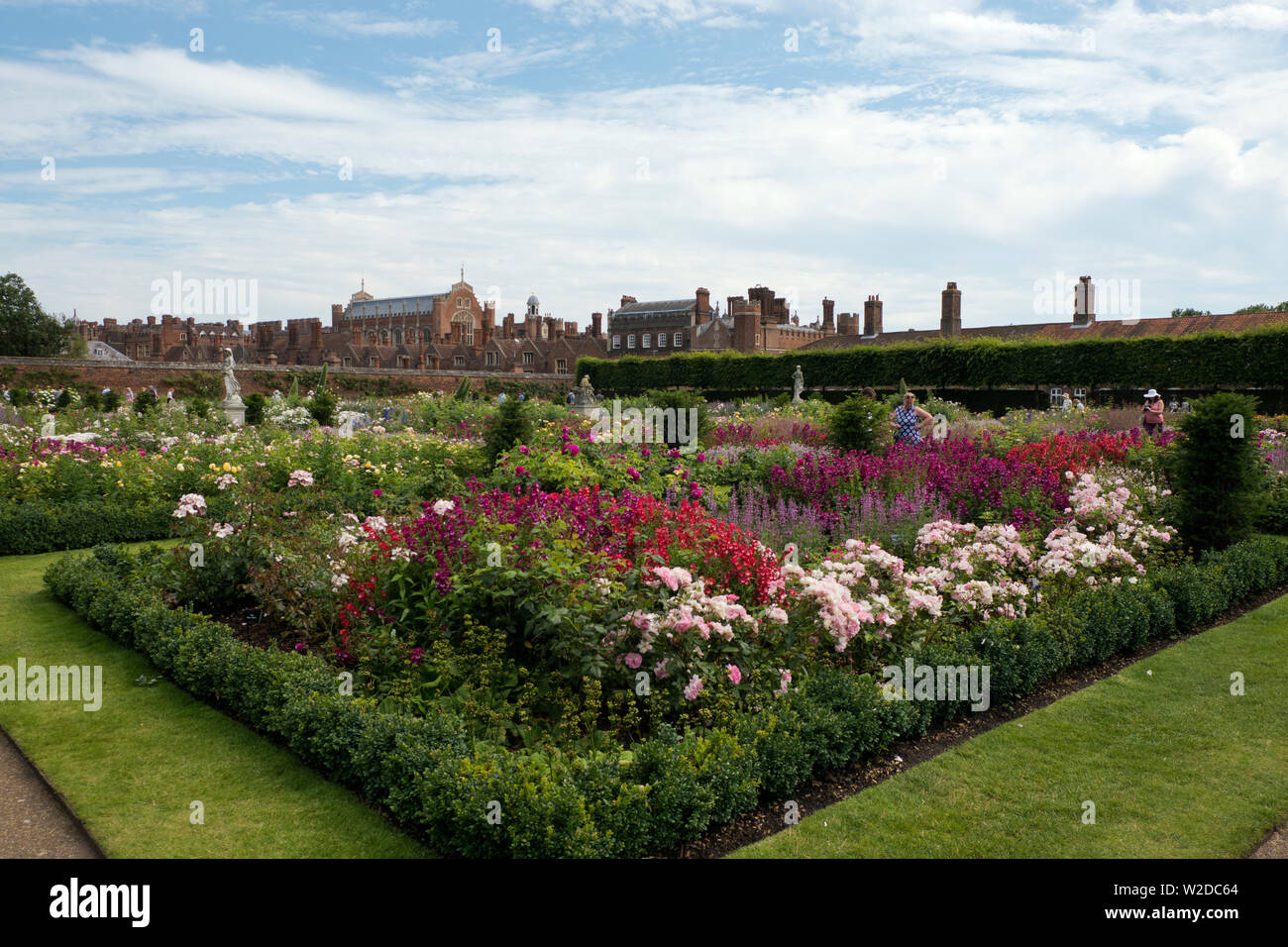 Gardens in Hampton Court Palace Greater london in summer Stock Photo