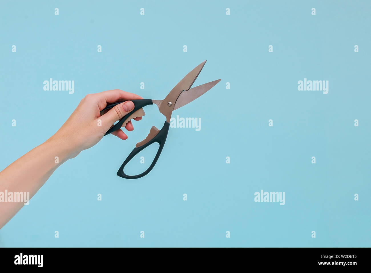 Woman's hand holding the scissors on blue background. Stock Photo