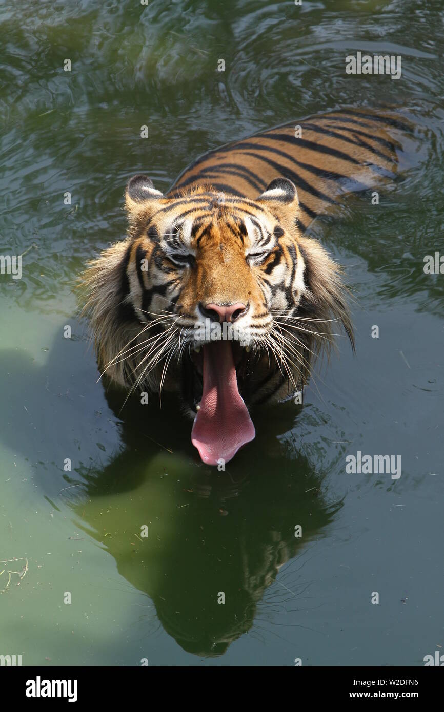 bad-mood-stock-photo-alamy