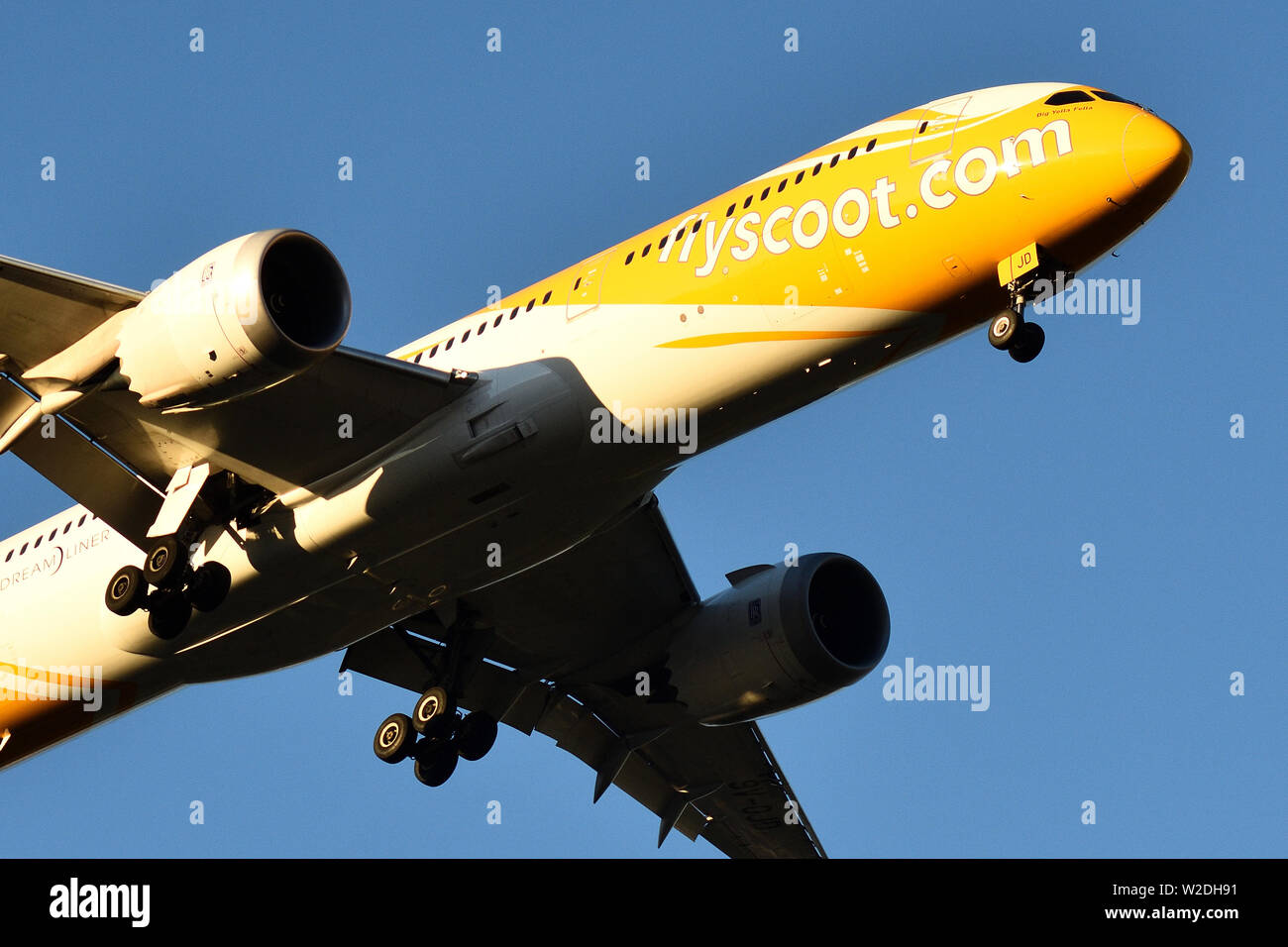 Boeing 787-9 Dreamliner 9V-OJD of Scoot Airlines, on approach to Perth Airport. Stock Photo