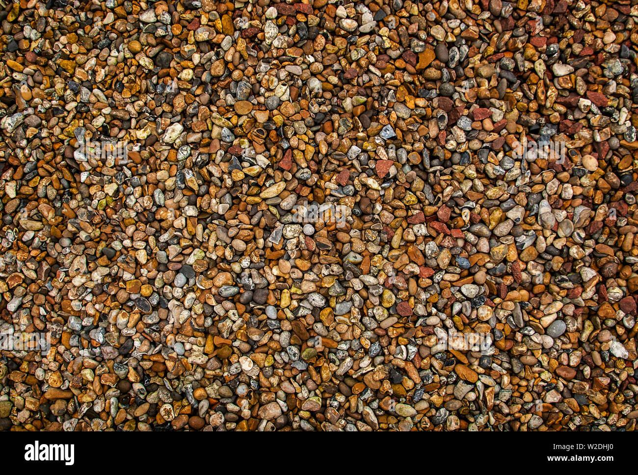 The multi-coloured nature of beach pebbles used for security and weed suppression in landscaping. Stock Photo