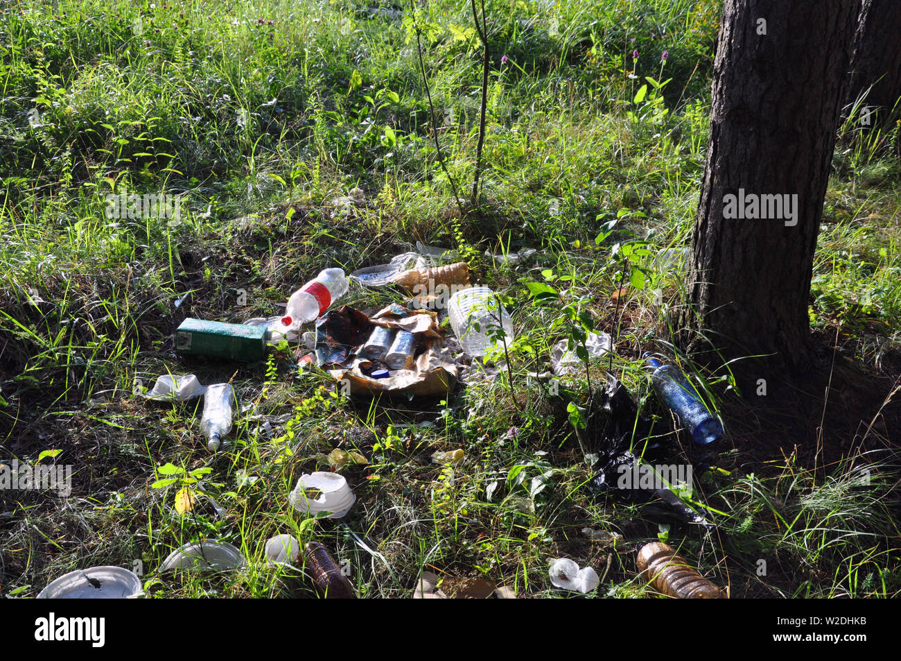 plastic bag with garbage hanging on tree in forest near the river.  pollution ecosystem problem , ecology environment trash Stock Photo - Alamy