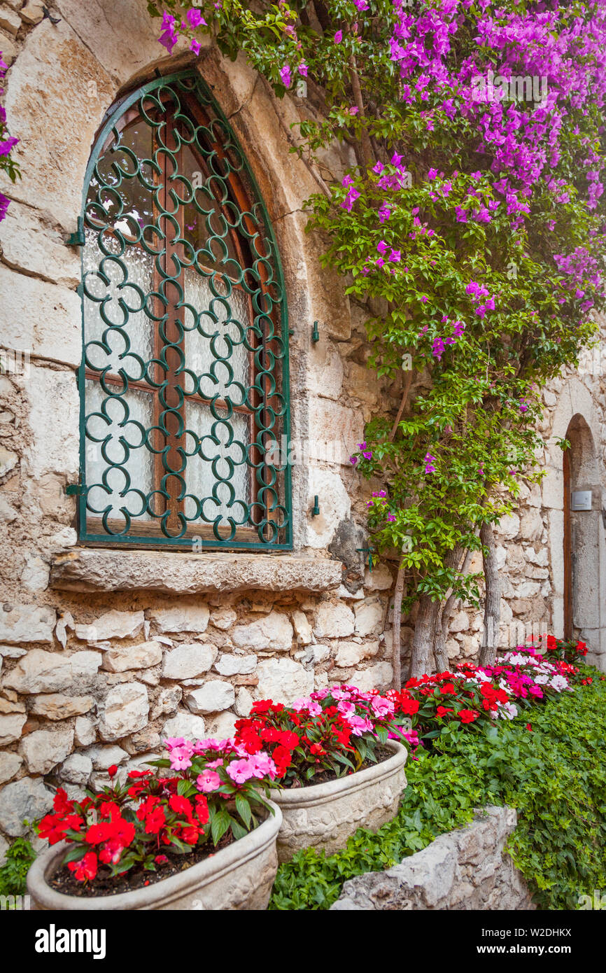 Flowering vine grows on wall of home in historic Eze, Provence France Stock Photo