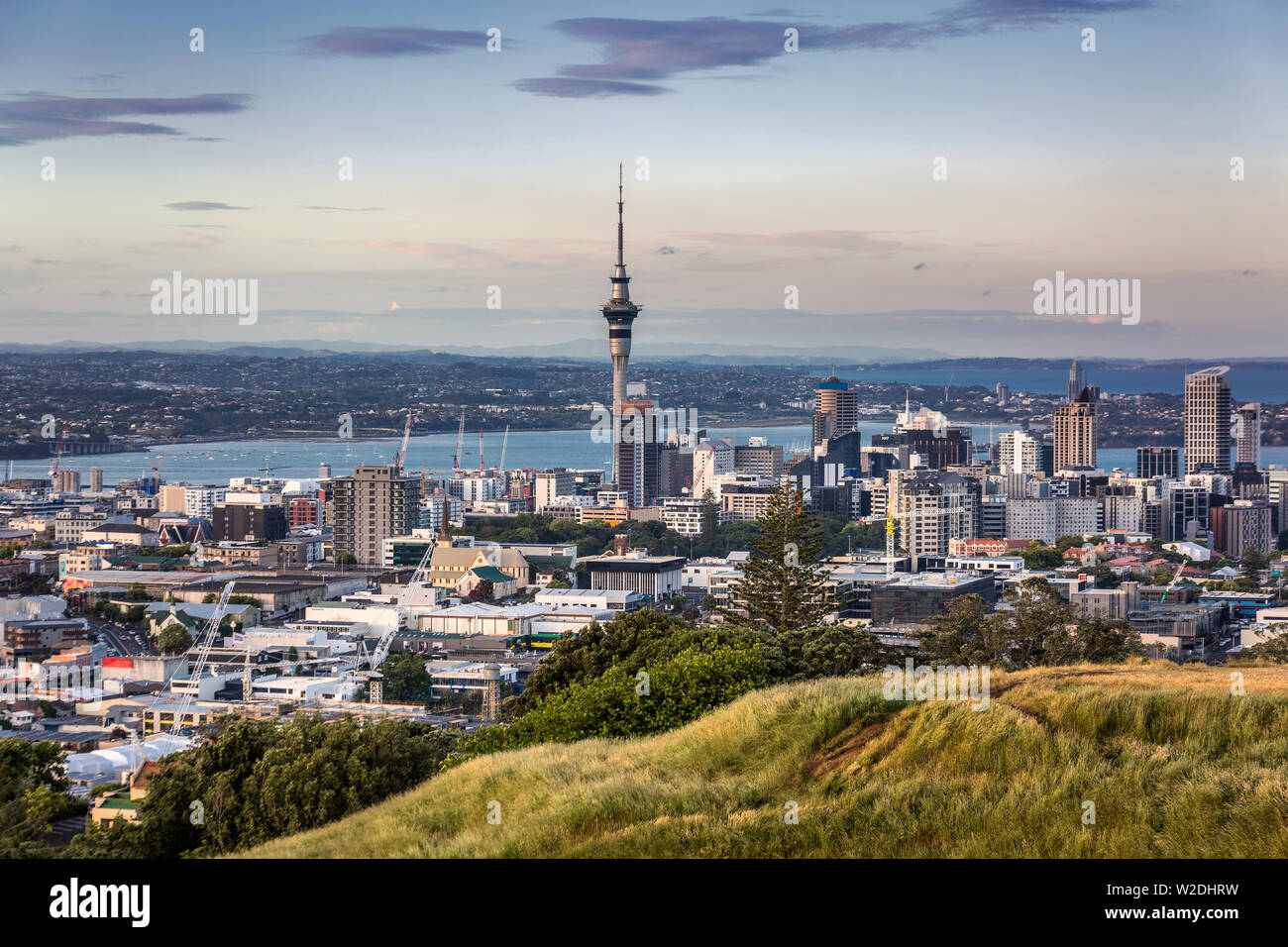 City night scape from high vintage point at sunset in Auckland, New Zealand. Stock Photo