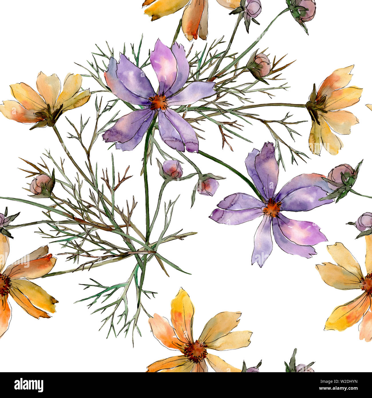 Cosmos flower floral botanical flowers. Watercolor background illustration set. Seamless background pattern. Stock Photo