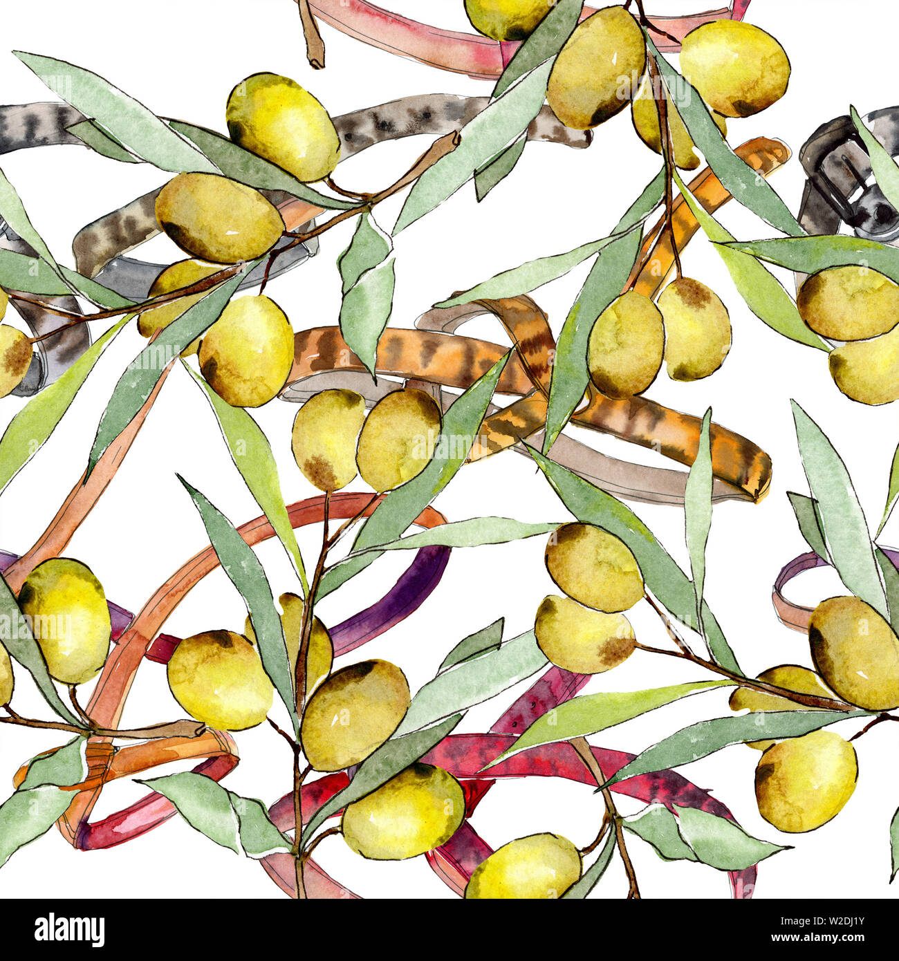 Olive branch with green fruit. Watercolor background illustration set ...