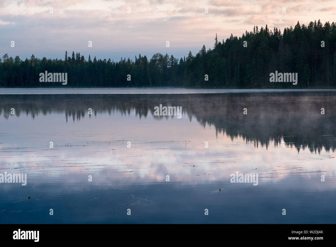 Misty Sunrise over a finnish lake in dark forest with beautiful reflections, Kainuu, Finland Stock Photo