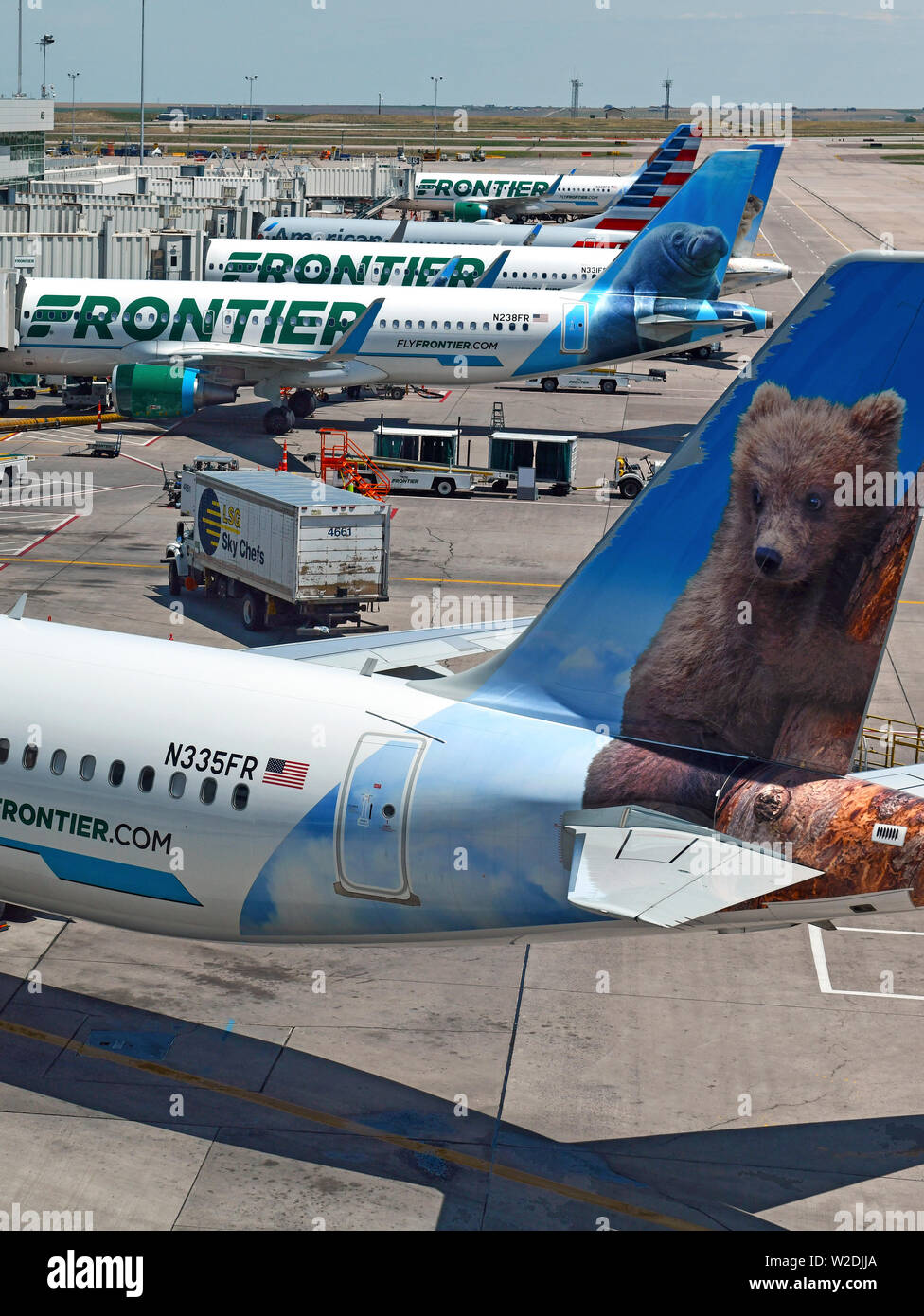 Frontier Airlines with aircraft at gate, while characterized as a low