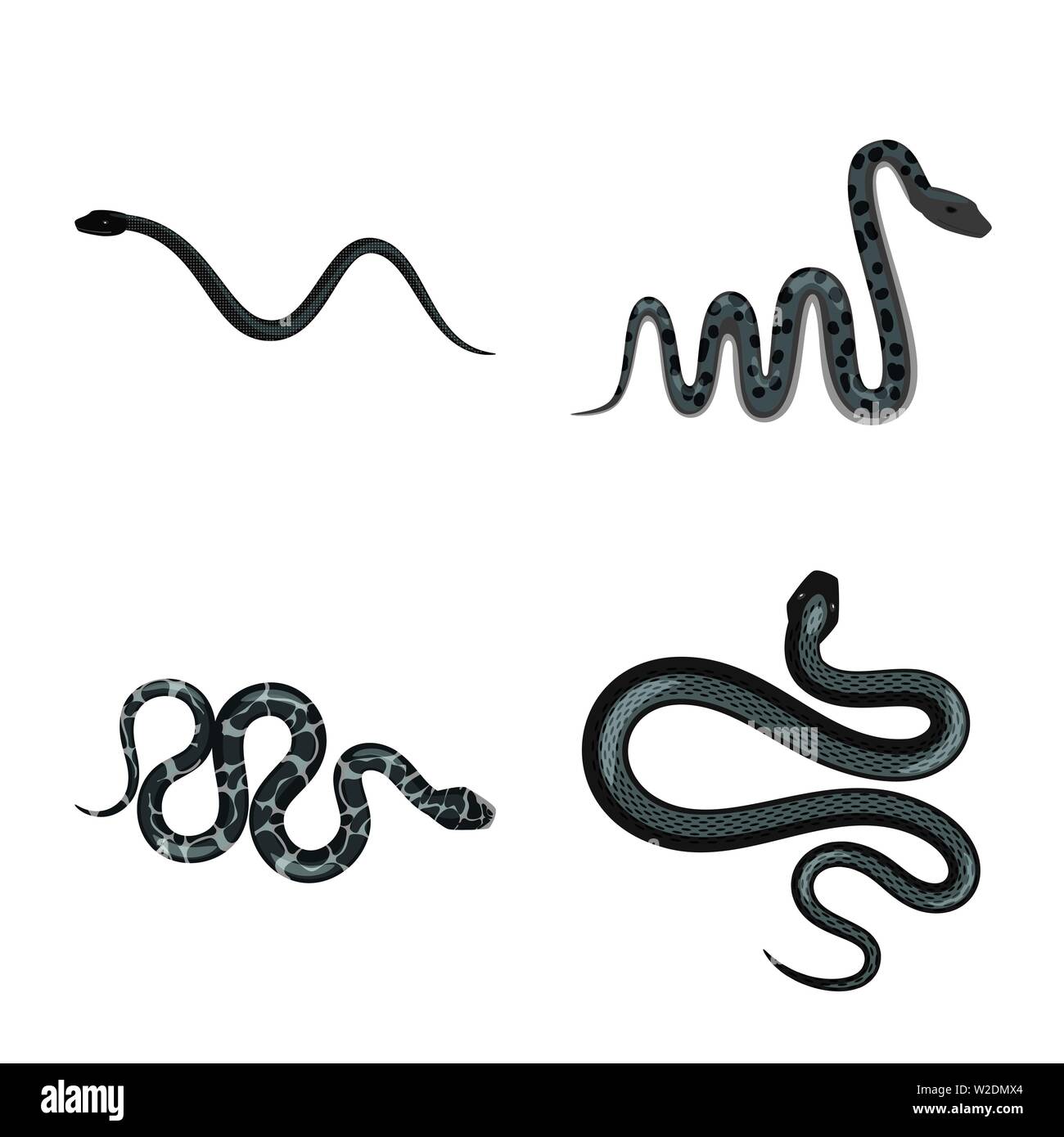 Vector Vectors Stock Vector Image & Art - Alamy