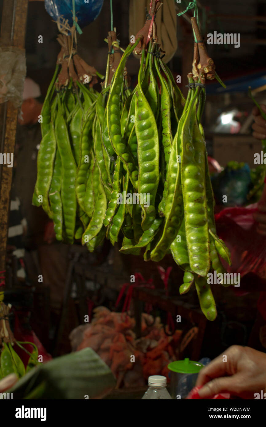 The petai  or parkia speciosa in traditional market Stock Photo