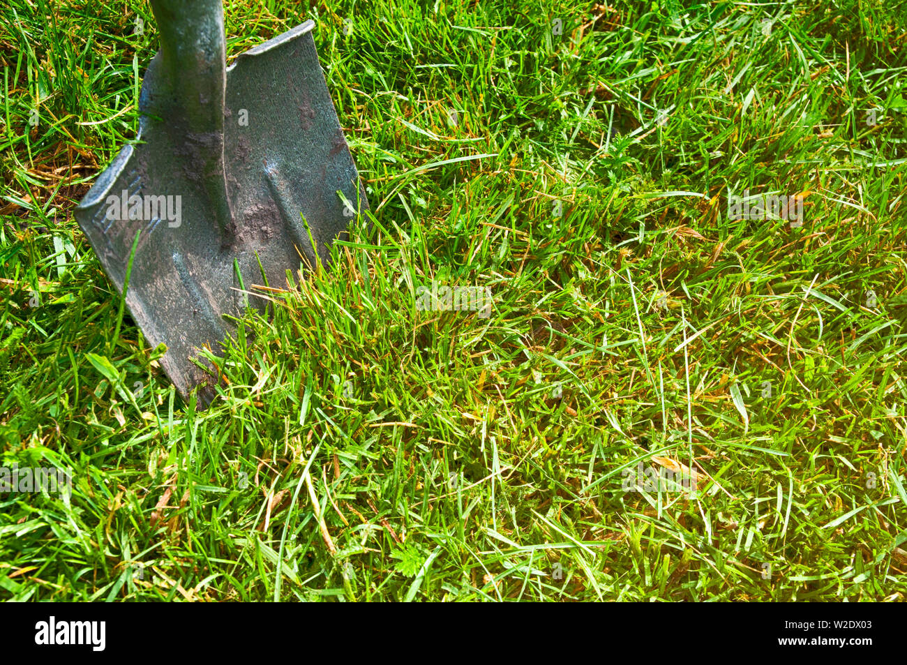 Stuck at the top hi-res stock photography and images - Alamy