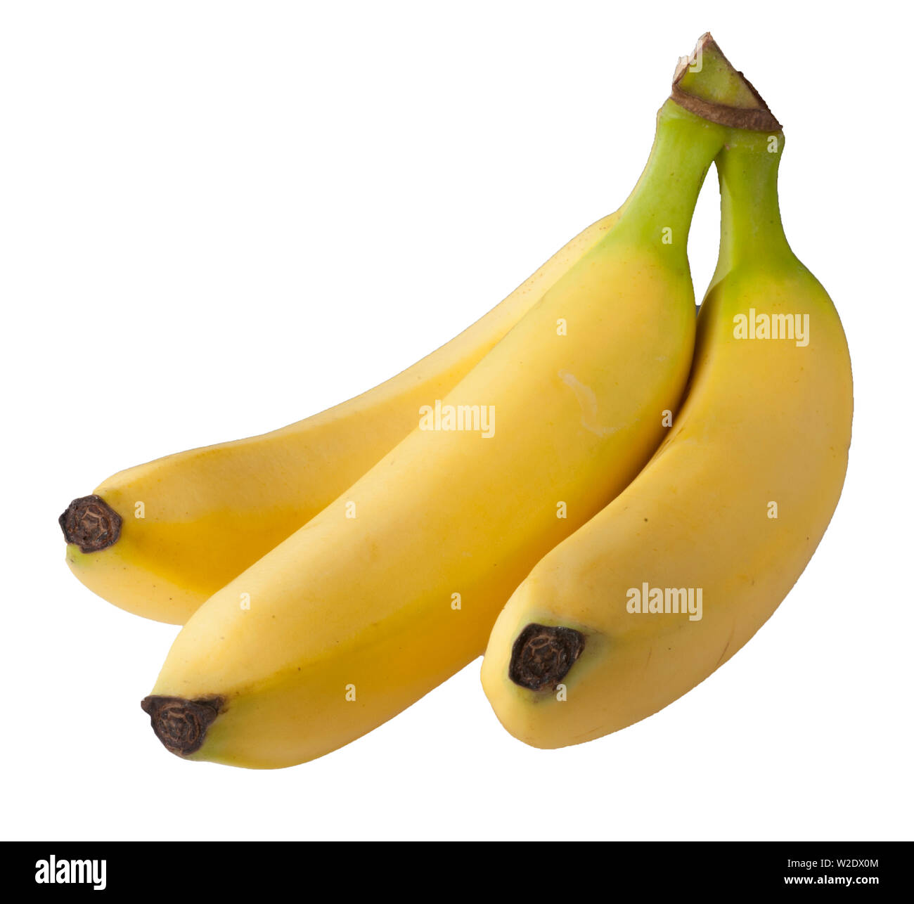 Banana bunches Stock Photo