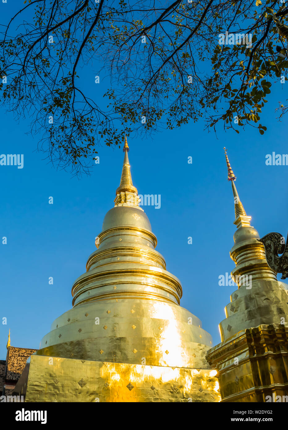 View of Wat Phra Singh with the golden pagoda, the popular historical landmark temple in Chiang Mai, Thailand Stock Photo