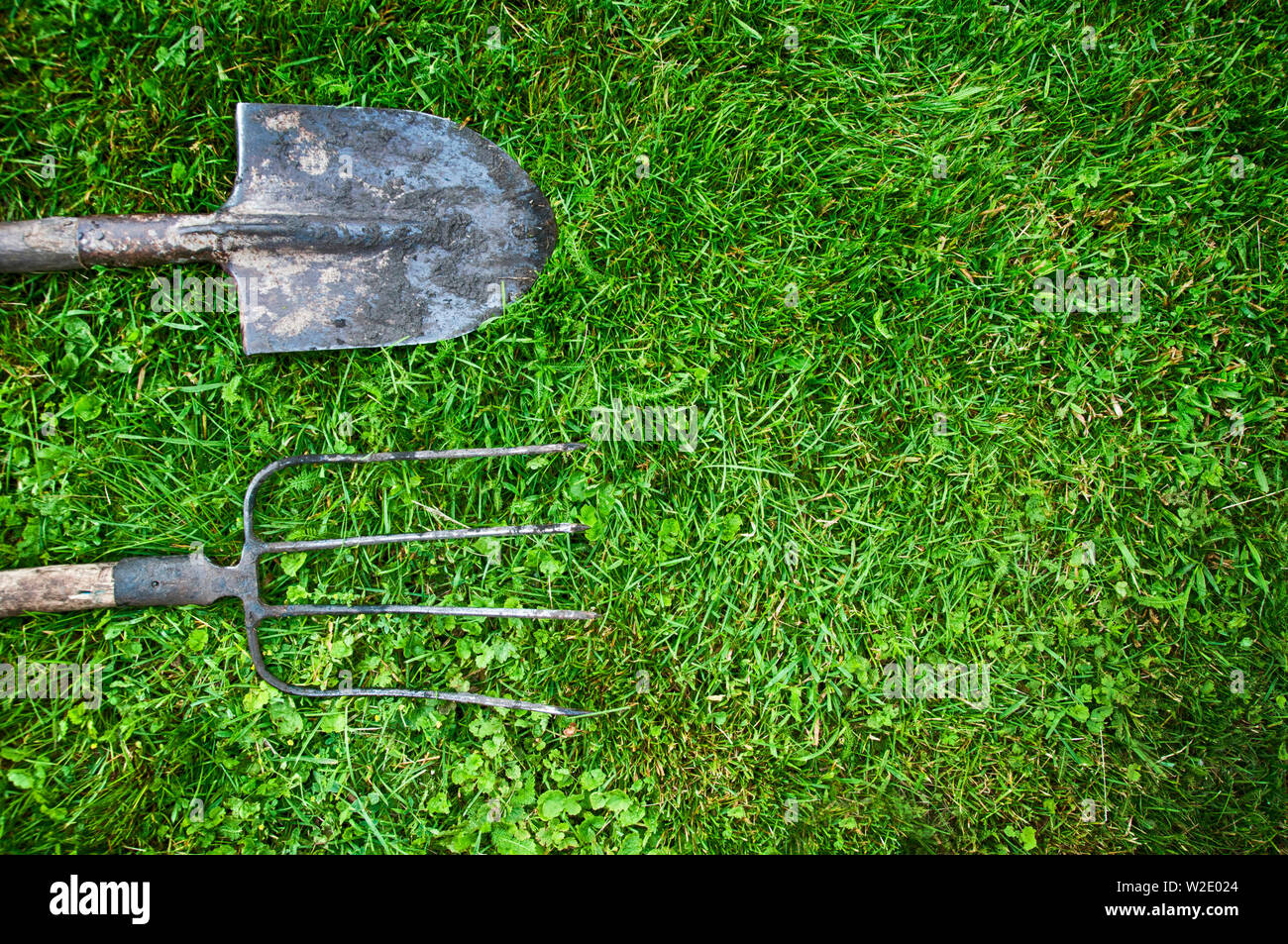 garden tools shovel and pitchfork on green grass top view Stock Photo ...