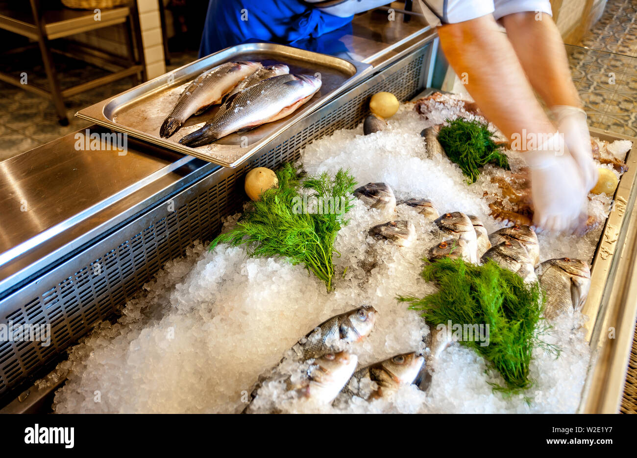 Delicious Fresh fish on ice and human hands Stock Photo