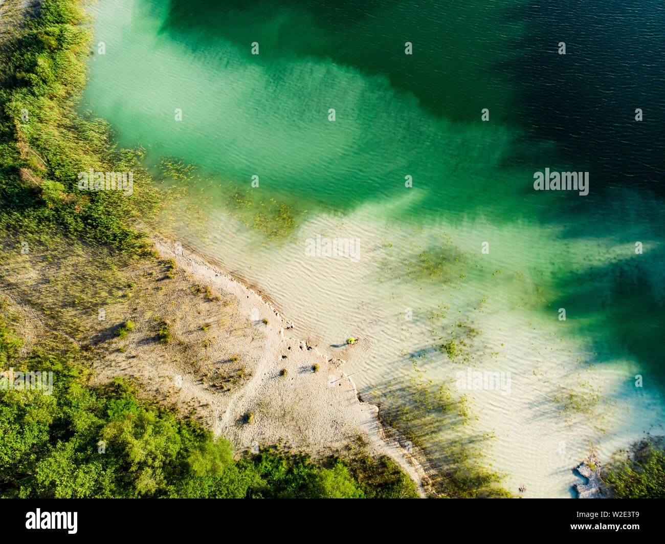 Pine Trees Birds Eye View High Resolution Stock Photography and Images ...