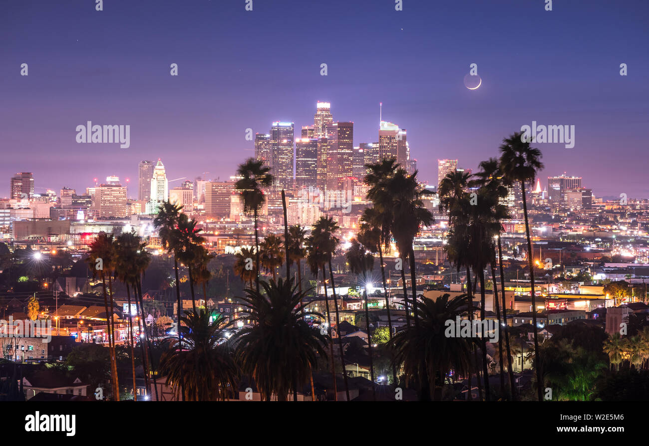 Beautiful night of Los Angeles downtown and palm trees in foreground Stock Photo