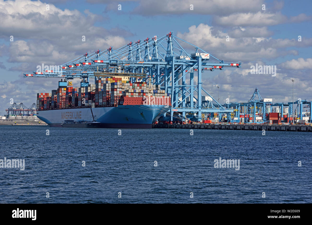 port of rotterdam, zuid holland/netherlands - september 07, 2018:  triple e class containership mumbai maersk (imo  9780471) loading/unloading cargo a Stock Photo