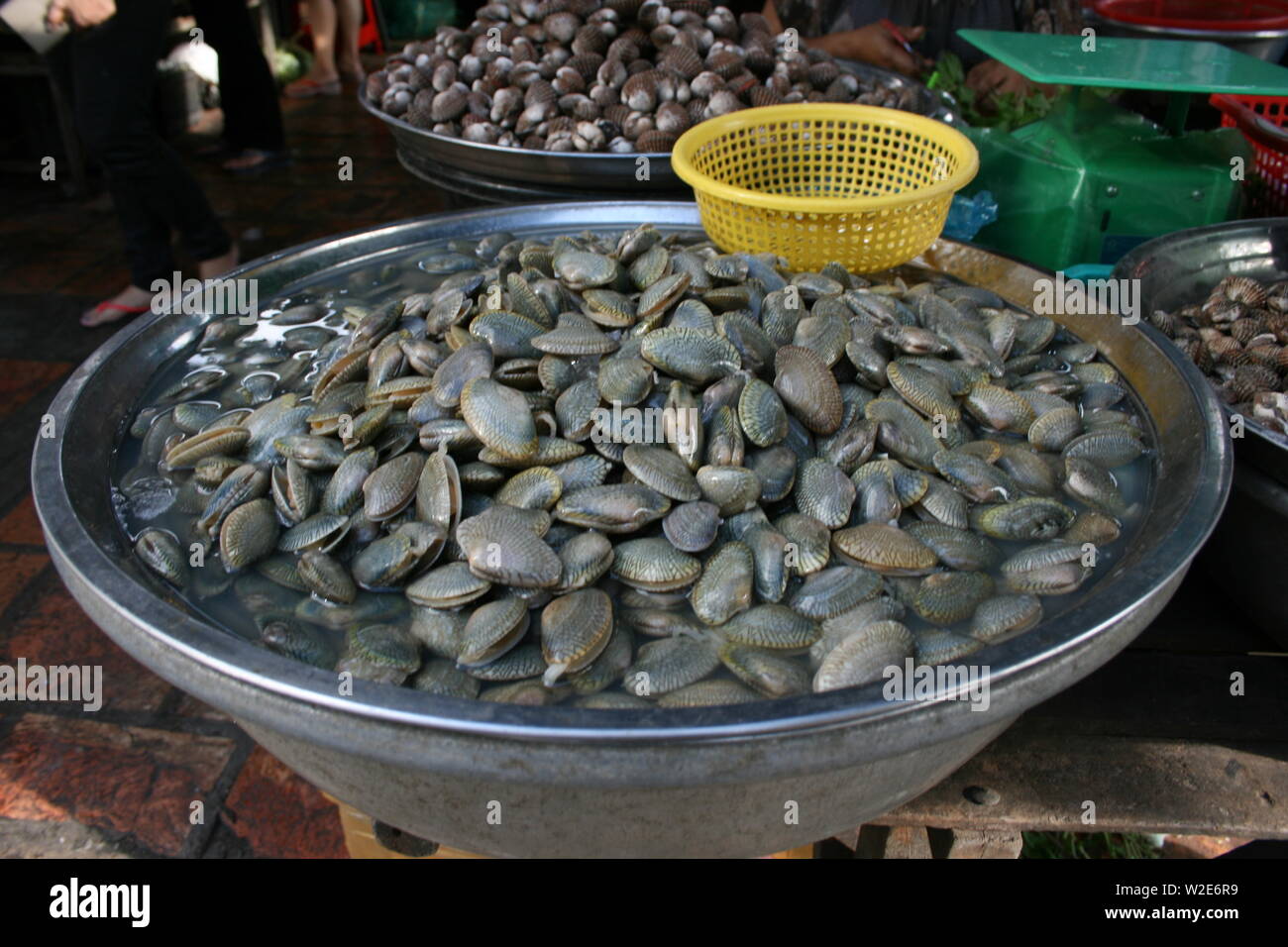 fresh clams for sale at the Russian Market, Phnom Penh, Cambodia. photo