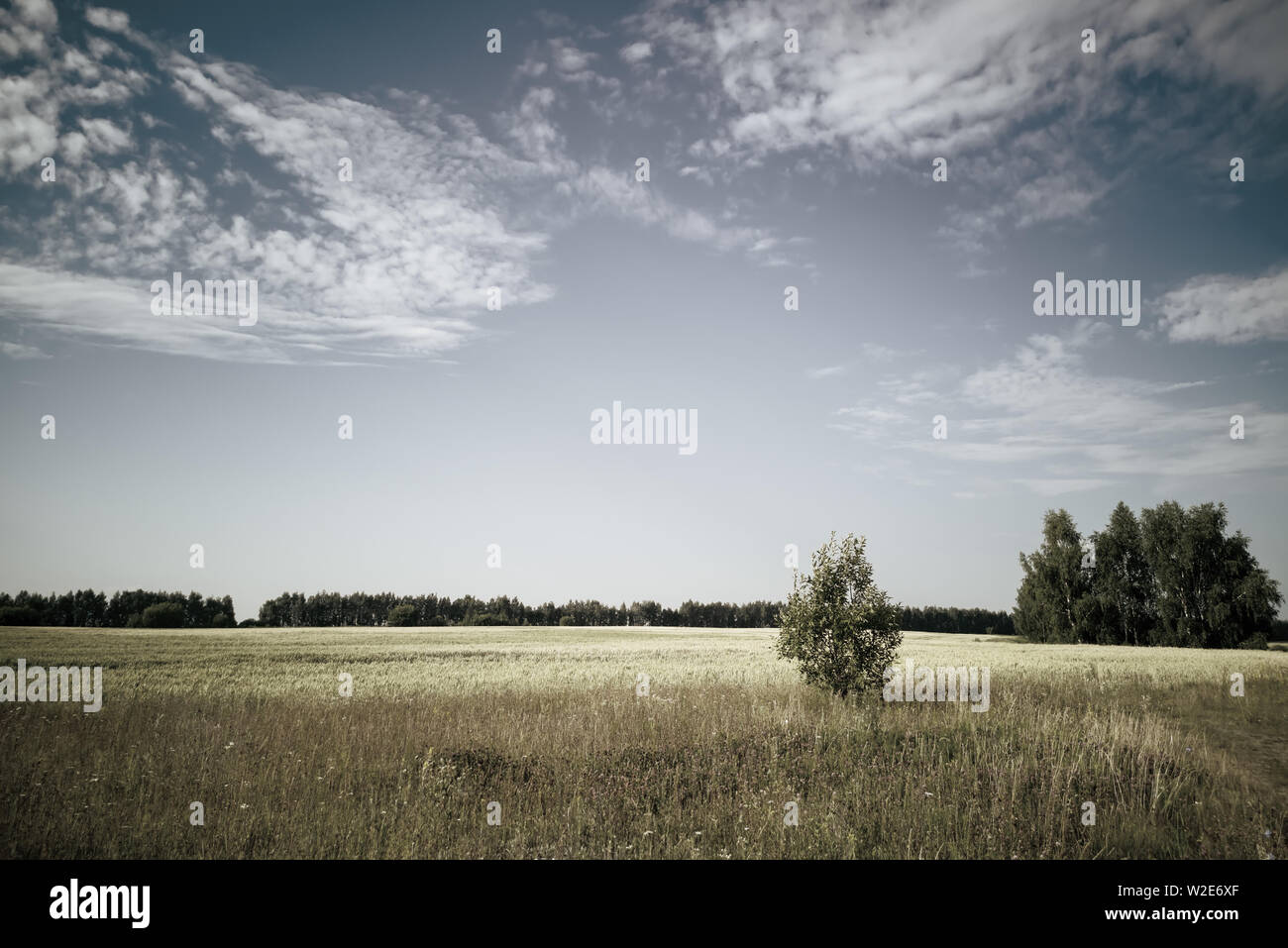 In clear weather hi-res stock photography and images - Alamy