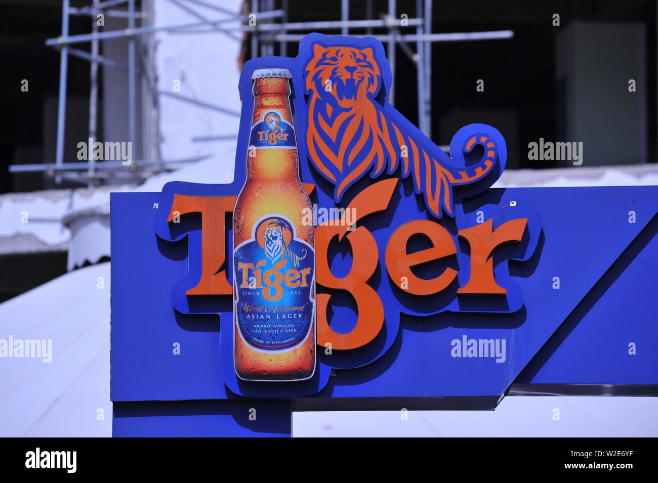 Tiger Beer Logo