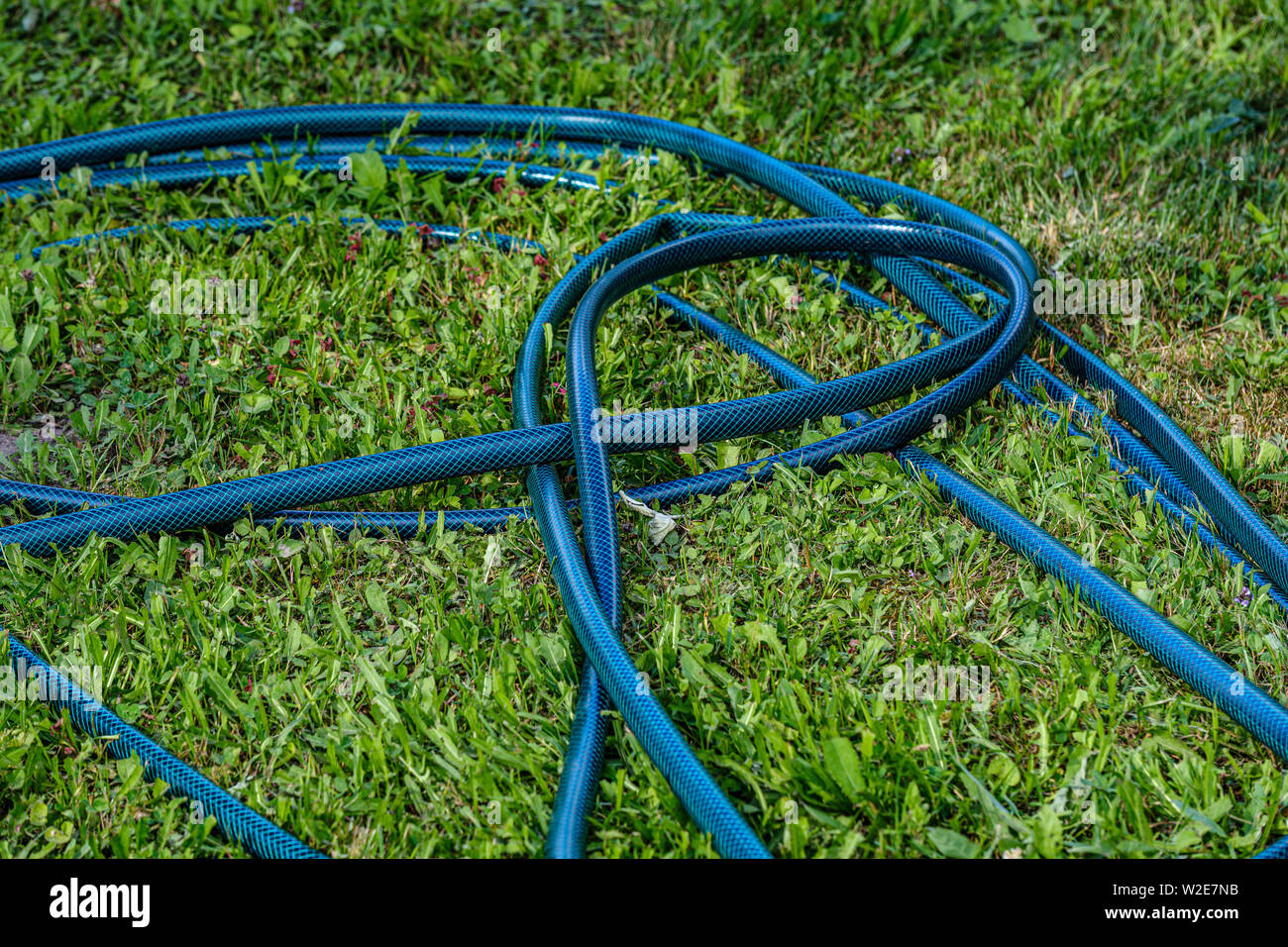 Water pipe snake discount