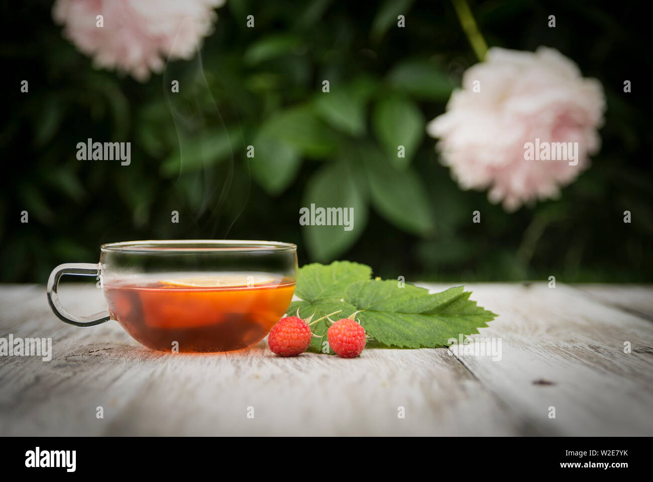 cup of fruit tea on wooden retro boards and flowers and plants in the background Stock Photo