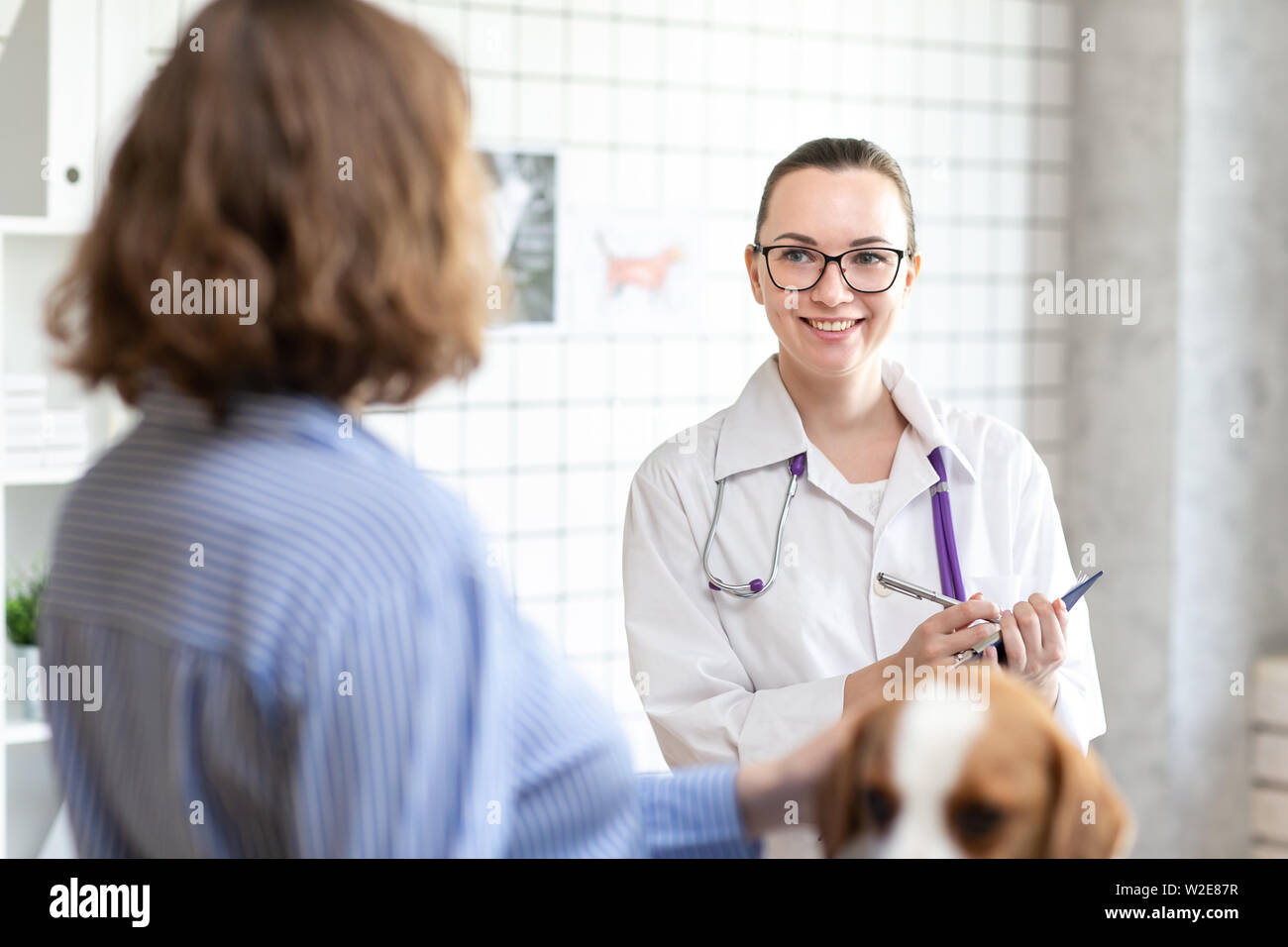 The veterinarian and the client with the dog to discuss the treatment in a veterinary clinic. Stock Photo