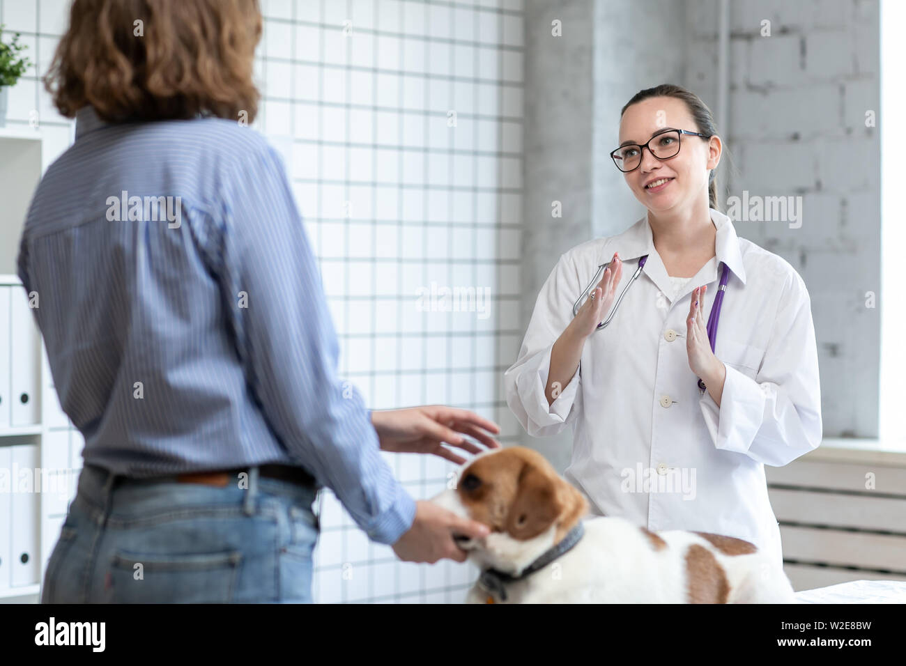 The veterinarian and the client with the dog to discuss the treatment in a veterinary clinic. Stock Photo