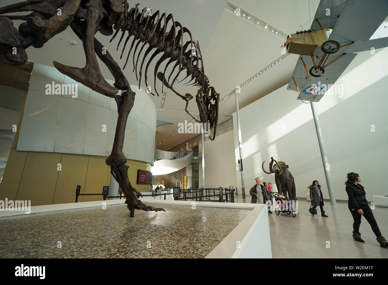 Entry Hall of the new Royal Alberta Museum RAM, Edmonton, Canada Stock Photo