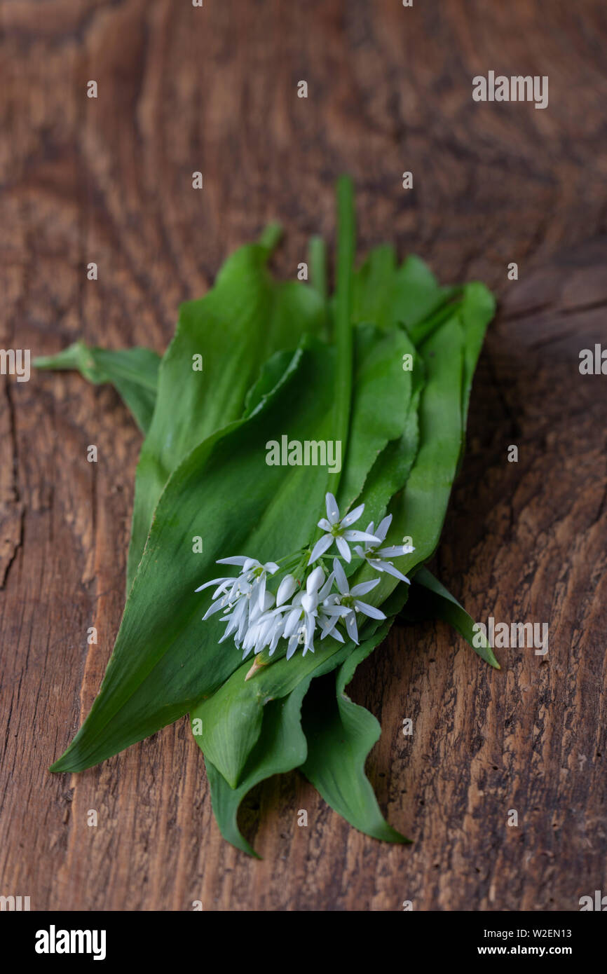 fresh bears garlic on wood Stock Photo