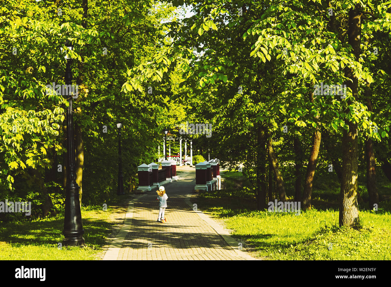 A little girl in the park rides a scooter on the road among thick bright green trees. Stock Photo