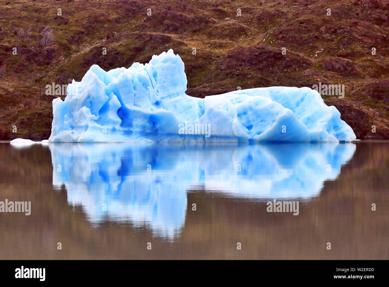 Icebergs in Lago Grey in the Torres del Paine National Park, in Chilean Patagonia Stock Photo