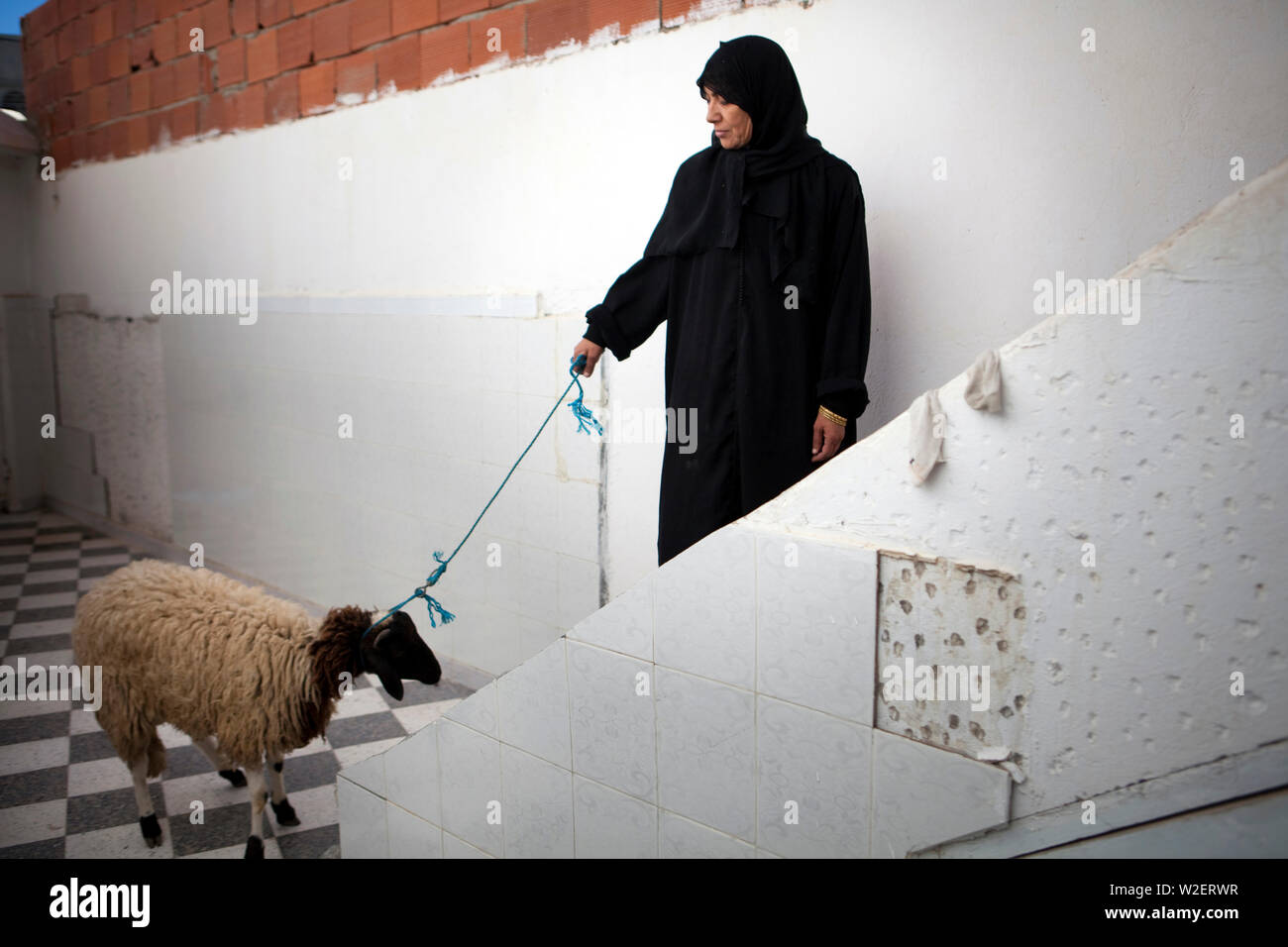 November 6, 2011 – Kairouan, Tunisia - A Muslim Tunisian woman before  slaughtering a sheep for the Muslim celebration of Eid Al-Adha at her house  in Kairouan. Kairouan is considered by many